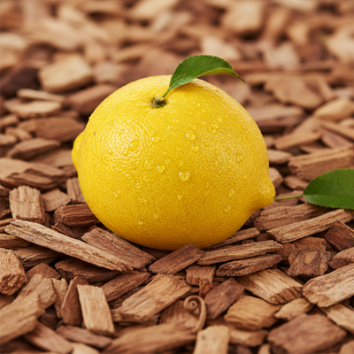Zitrusfrüchte